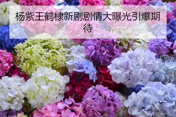 杨紫王鹤棣新剧剧情大曝光引爆期待